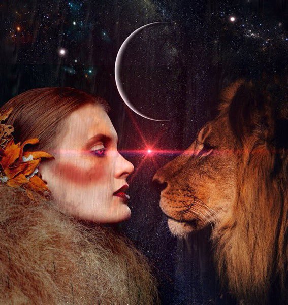LadyLeo1976's tweet photo. Good Evening ~
🌬 Magick dreams tonight ✨
#LeoSeason https://t.co/oQVSSLWrDF