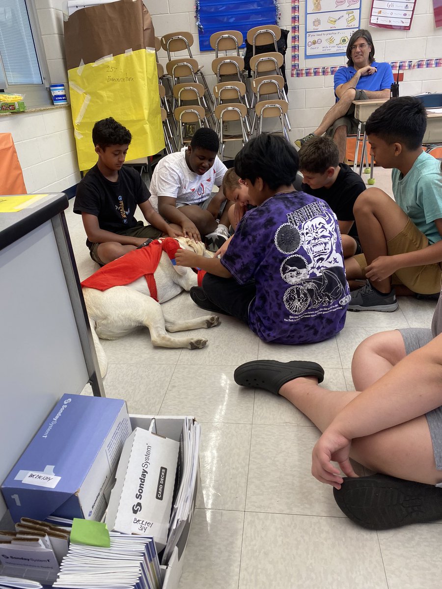 Gabriella Manetta tweet media