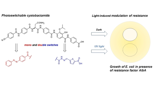 Chemistry (@chemeurj) on Twitter photo Optical modulation of antibiotic resistance by photoswitchable cystobactamids (M. Bronstrup et al.) <a href="/BronstrupLab/">Brönstrup Lab</a> onlinelibrary.wiley.com/doi/10.1002/ch… Optical modulation of antibiotic resistance by photoswitchable cystobactamids (M. Bronstrup et al.) <a href="/BronstrupLab/">Brönstrup Lab</a> onlinelibrary.wiley.com/doi/10.1002/ch…