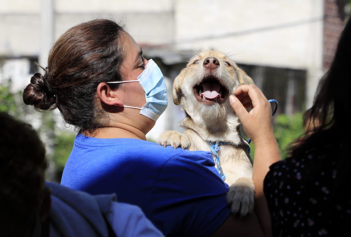 Ciudadanía xalapeña demuestra cultura del cuidado a los animales <a href="/AytoXalapa/">Ayuntamiento de Xalapa</a> 
axnoticias.com/2022/08/04/ciu…