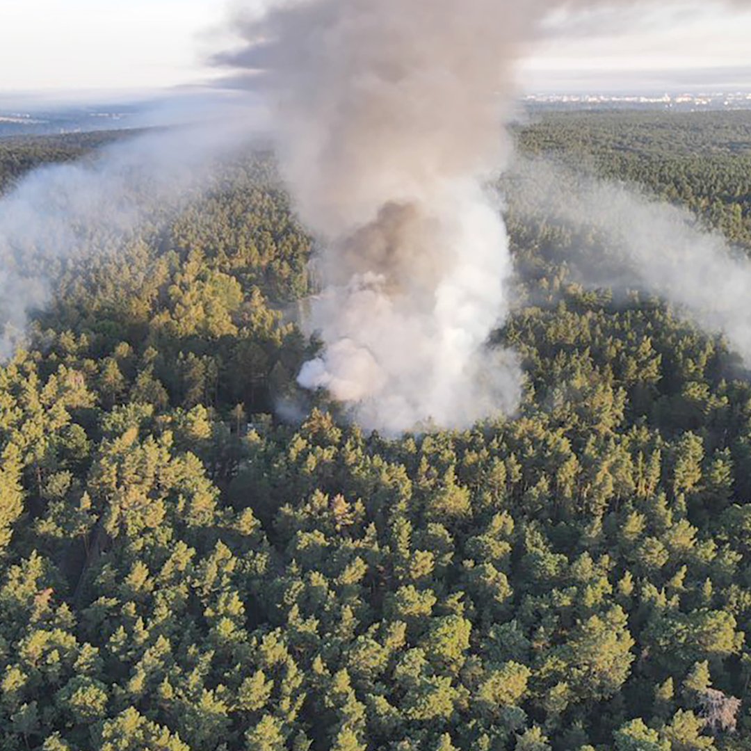 dw-news-on-twitter-a-large-fire-broke-out-in-berlin-s-grunewald
