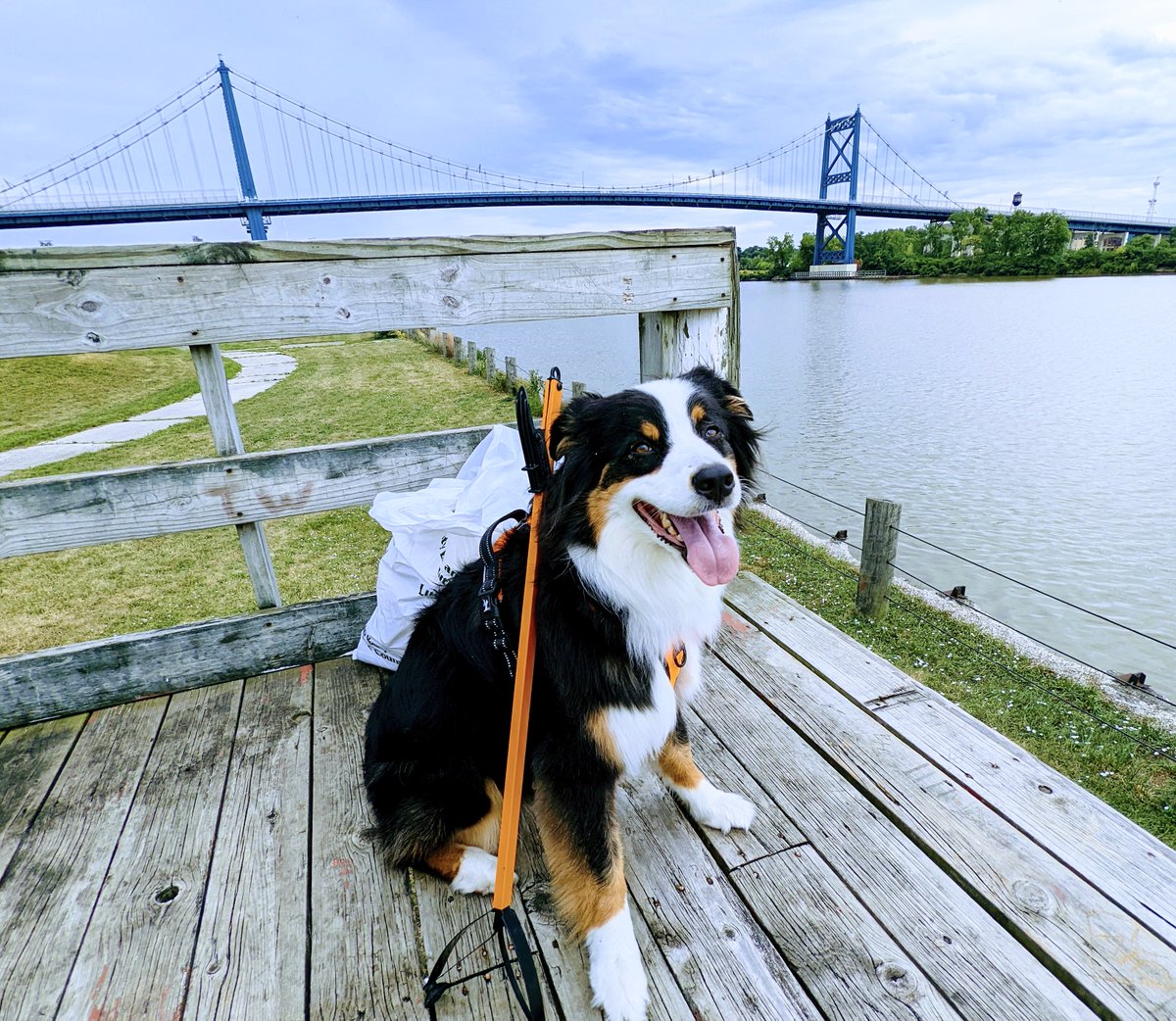 Keep Toledo/Lucas County Beautiful tweet media