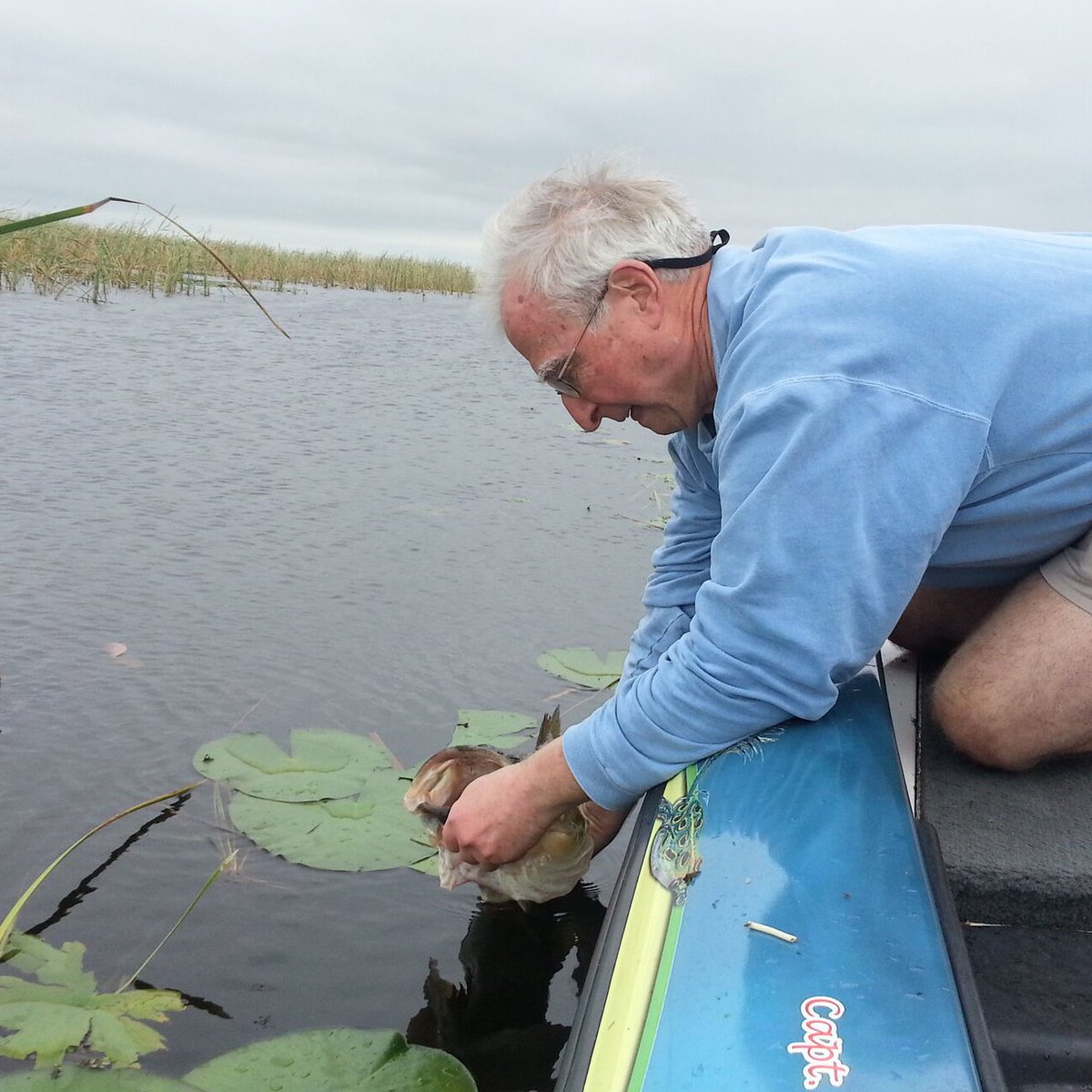 FishTreasuCoast's tweet photo. #Headwaters and #StickMarsh are both catch and release, that's a daily process to keep the big ones coming back for more!
👉DM or Call for Details (561) 408-1049
#bassfishing #floridalife #pennreels #mercurymarine #bassfishing #tempress #lakes
#catchandrelease #fishingguide https://t.co/FloEIpFjGO