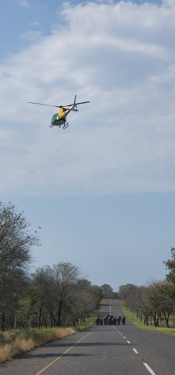 Kruger National Park tweet media