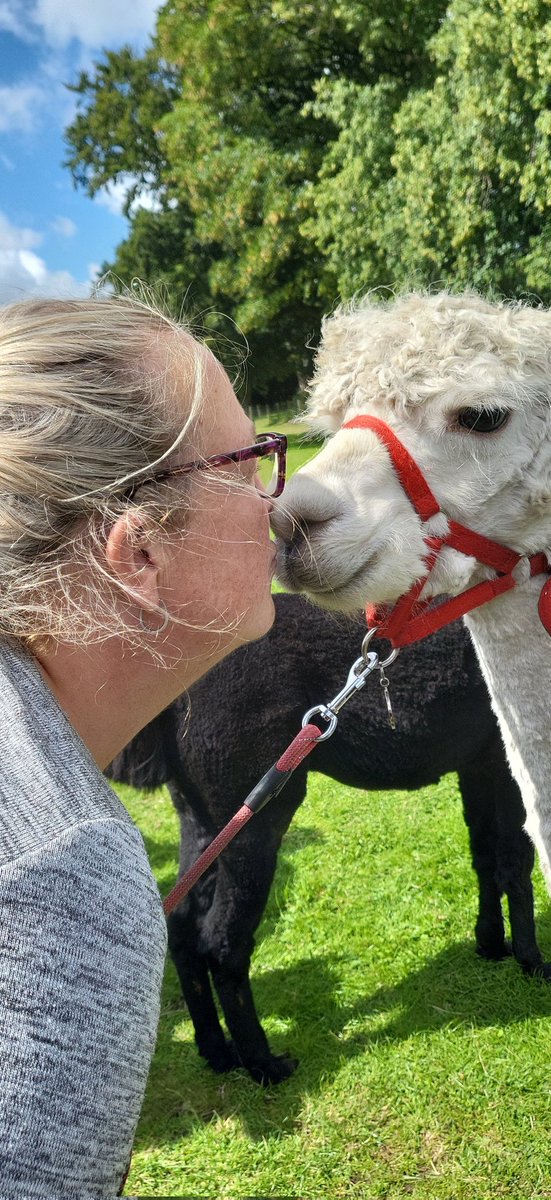 Today I got a kiss from an #Alpaca 🥰🥰