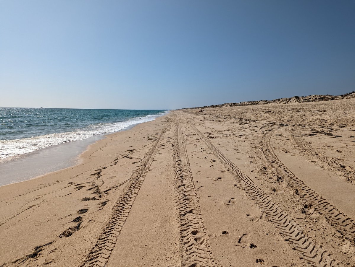 Early morning flight to get home today, but #WeActiveChallenge continues. 5km walk/swim with my "velhotes" #AHPsActive