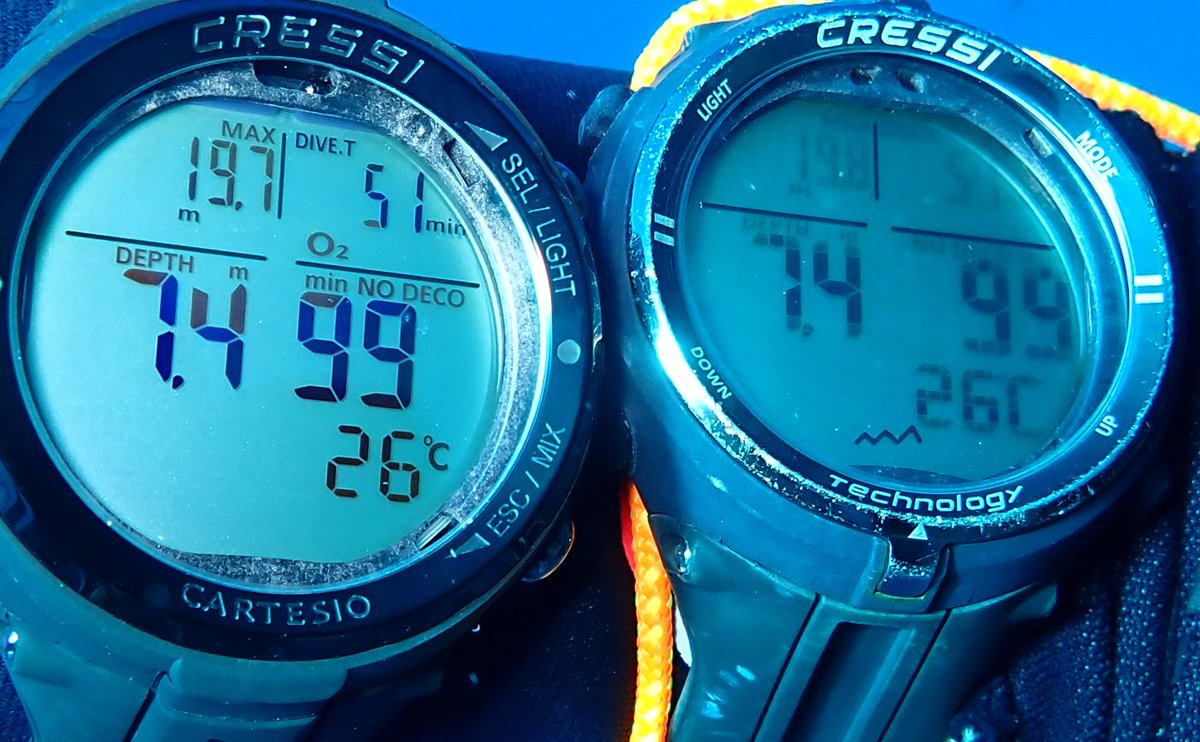 JGarrabou's tweet photo. 🗣️Diving at #MedesIslands NW Mediterranean, I could believe my computer 🌡️ reading, so I took 2....both 26ºC!

🙋Mean 🌊TºC 2005-2021 at 5m is about 22ºC so +4ºC!

To confirm this  🌡️ we need to check 2022 TºC monitoring 📈

ℹ️  https://t.co/EZm4yQXVTl &amp; https://t.co/YaaZcPGQWb https://t.co/p0v116zWhY