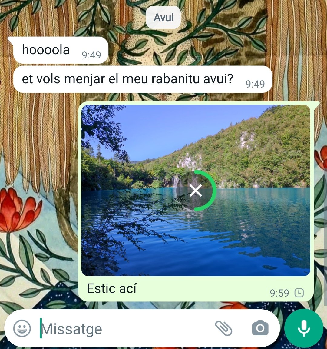 Tinc 30min de cobertura durant el dia i açò és el meu WhatsApp. No sé,no sé,per què?