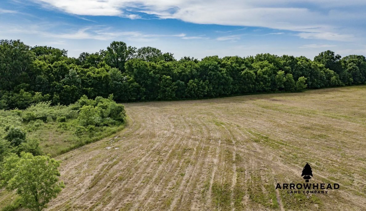 schultzy300's tweet photo. Arrowhead Land Company
Washington Co. OK ~ 37.43 acres 
Investment and Hunting Opportunities🔥
#arrowheadlandcompany #win https://t.co/WXueM7C9HI