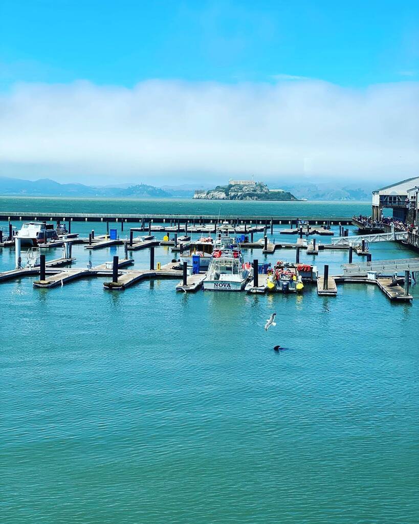 veronicarobbins's tweet photo. A beautiful day in #sanfrancisco yesterday. #playinghookie #escapetheheat https://t.co/BFyctjZJid https://t.co/bNeOqu9hfP
