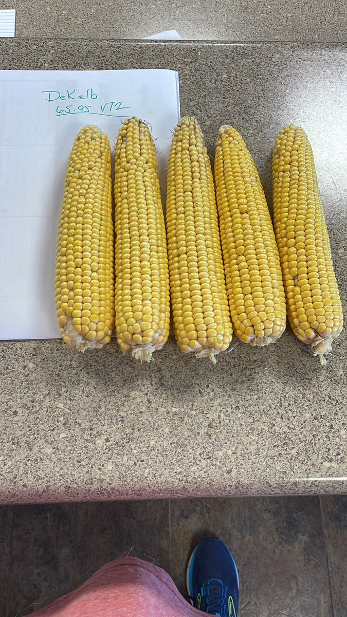 Allen Wiseman tweet media