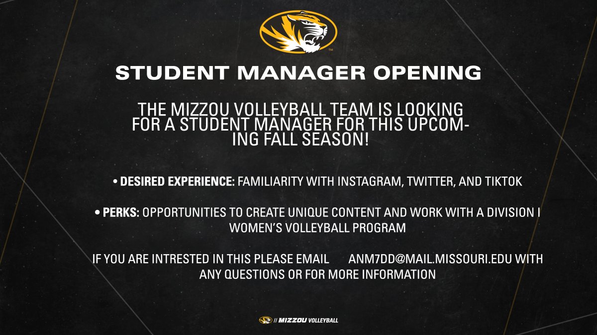 Mizzou Volleyball tweet media