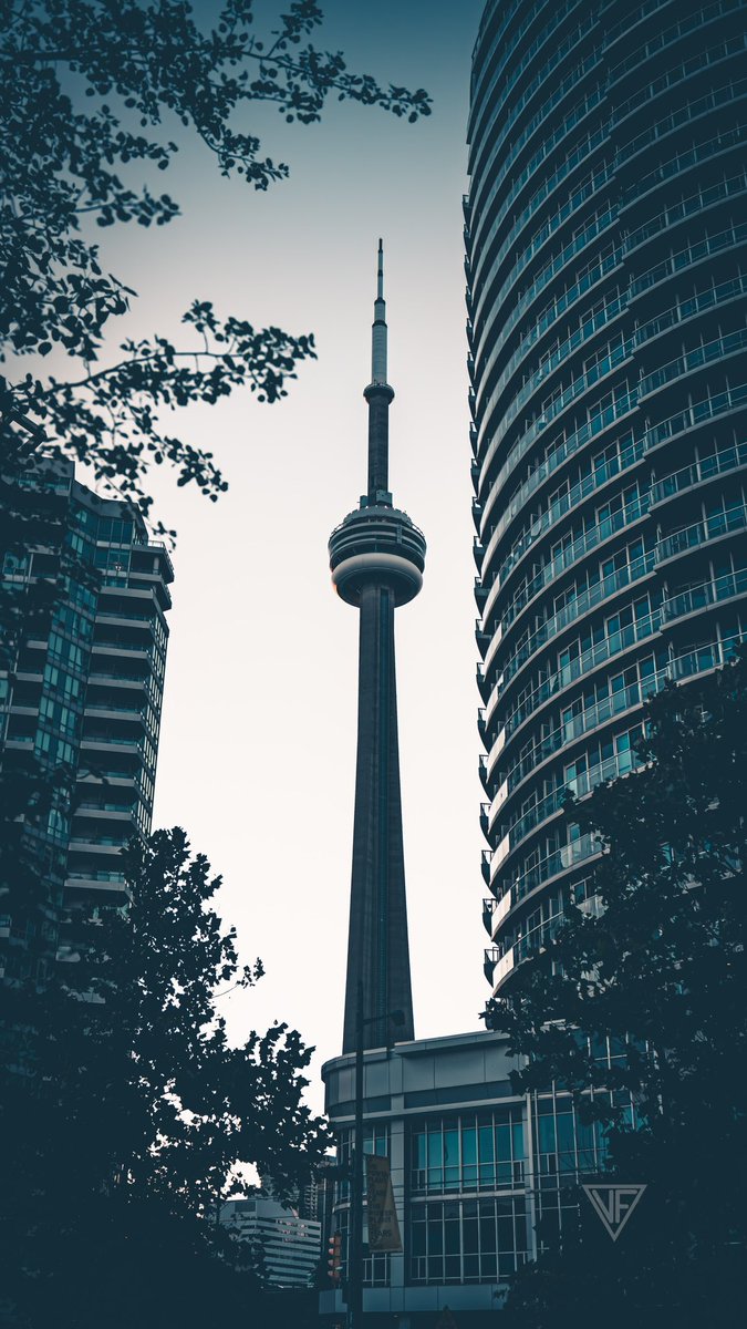 vfa593's tweet photo. An afternoon in #Toronto #streetphotography #CNTower #thursdayvibes https://t.co/5xedCSjGUc