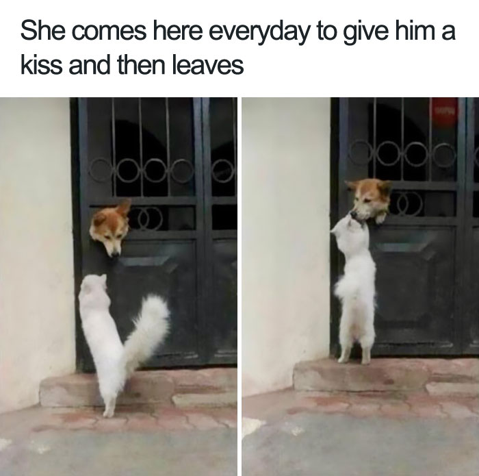 WholesomeMeme's tweet photo. https://t.co/YTNLQs6tLU