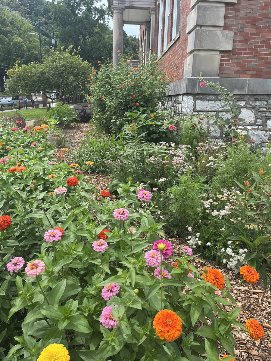 Second Street School tweet media