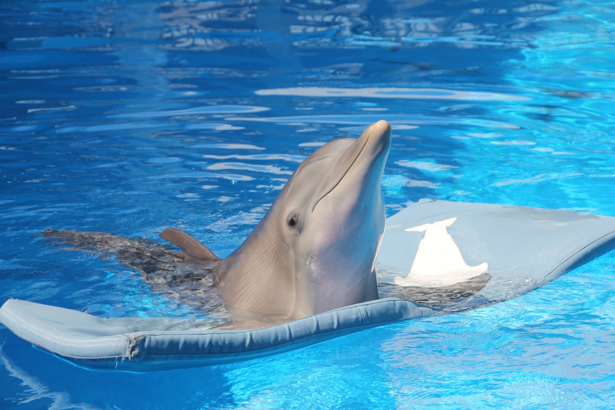 Throwback to 2011! 💙 Share your favorite Winter memories in the comments #WinterInspiresForever