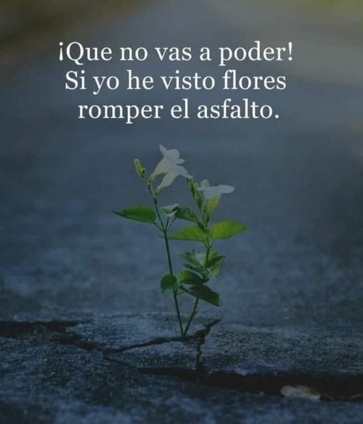 enconexionreal's tweet photo. Arriba ese animo!! https://t.co/jKgXZytVda