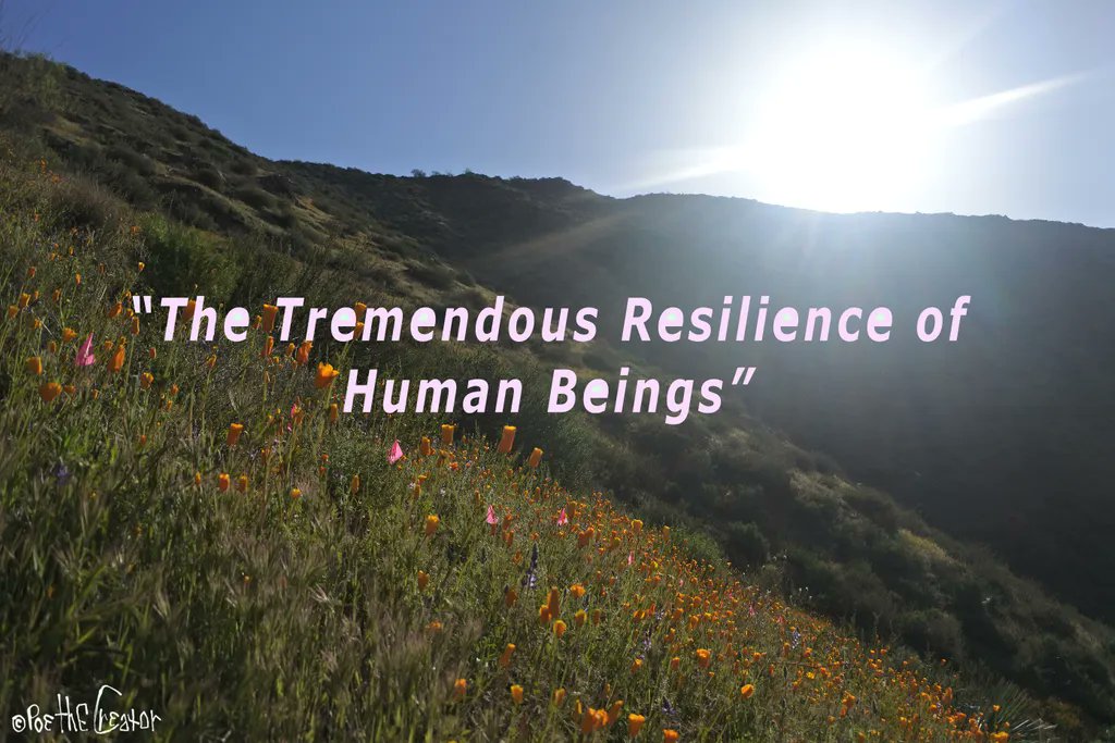Art by Poe the Creator, avant-garde illustrative mixed media and sculptural artist whose personal work questions the taboo, the ill-mannered, the improper. Past artwork include parodies of Dr. Seuss and William Steig around subject matters of abuse &amp; physical and mental health.