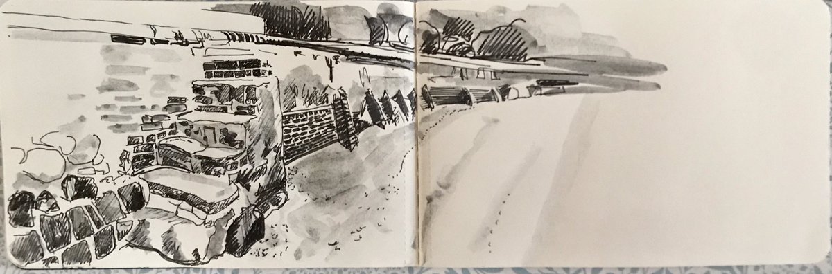 Peg Morris💙🇪🇺 tweet media