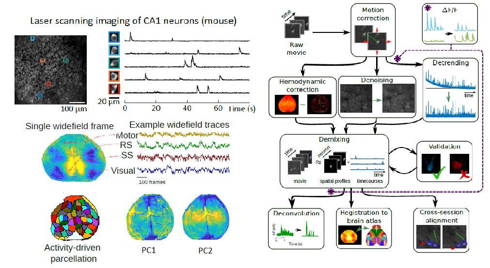 Check out our new paper about recent advances in analysis of fluorescence imaging data for neuroscience, detailing how the pipeline is evolving, in particular as new optical advances are hitting the scene.
<a href="/BaselessPursuit/">Adam Charles</a>, <a href="/gmishne/">Gal Mishne 💔🇮🇱</a>, <a href="/realalexsong/">Alex Song</a>   
spiedigitallibrary.org/journalArticle…
