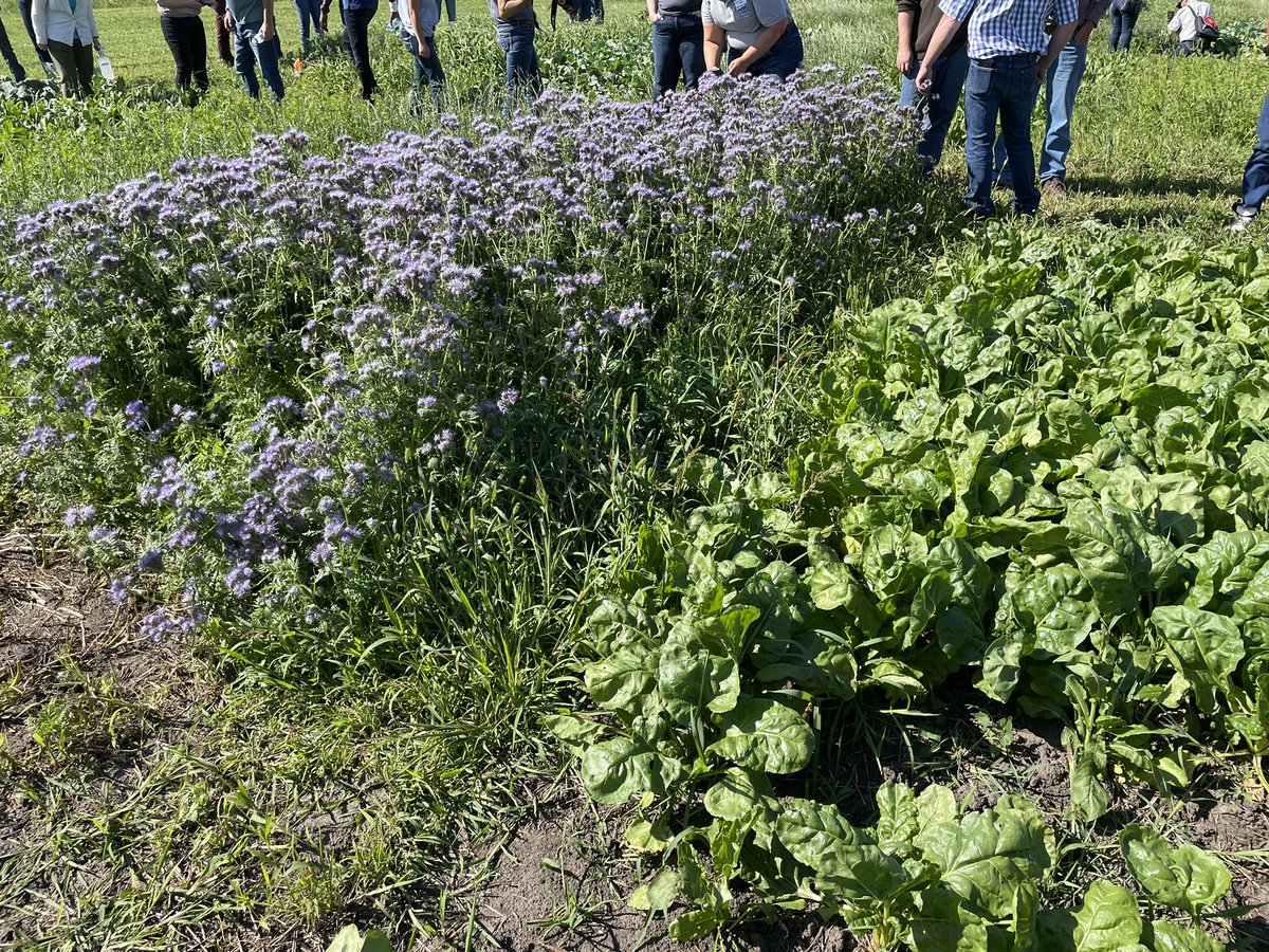 BeefSmart Consulting Inc. tweet media