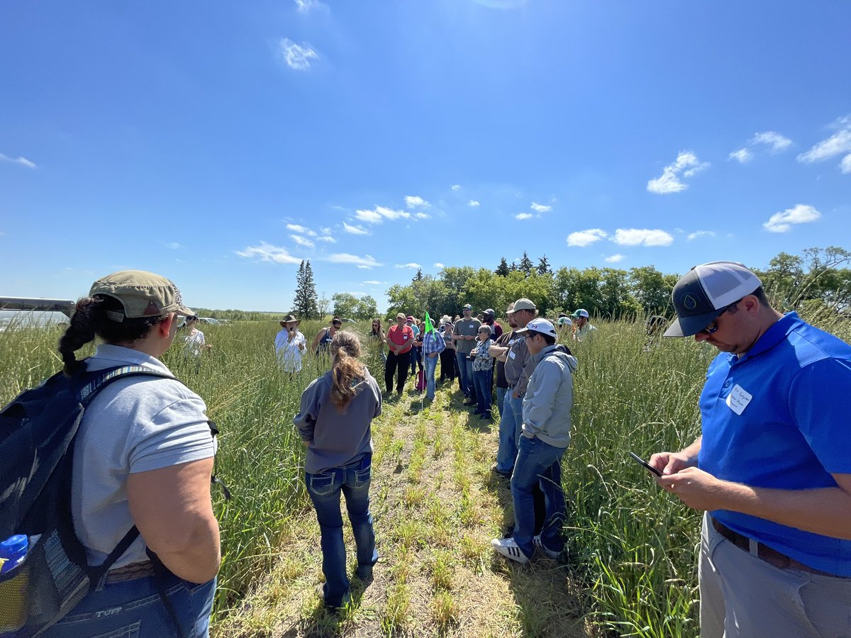 BeefSmart Consulting Inc. tweet media