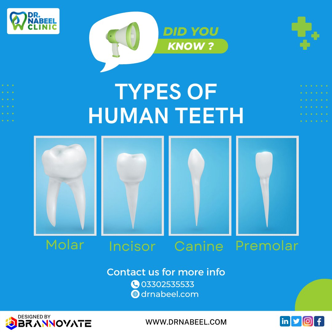 DrNabeelClinic's tweet image. All of us know that humans have 32 sets of teeth, but do you know that there are four different types of teeth?

drnabeel.com
.
.
.
#teeth #teethwhitening #teethtypes #drnabeel