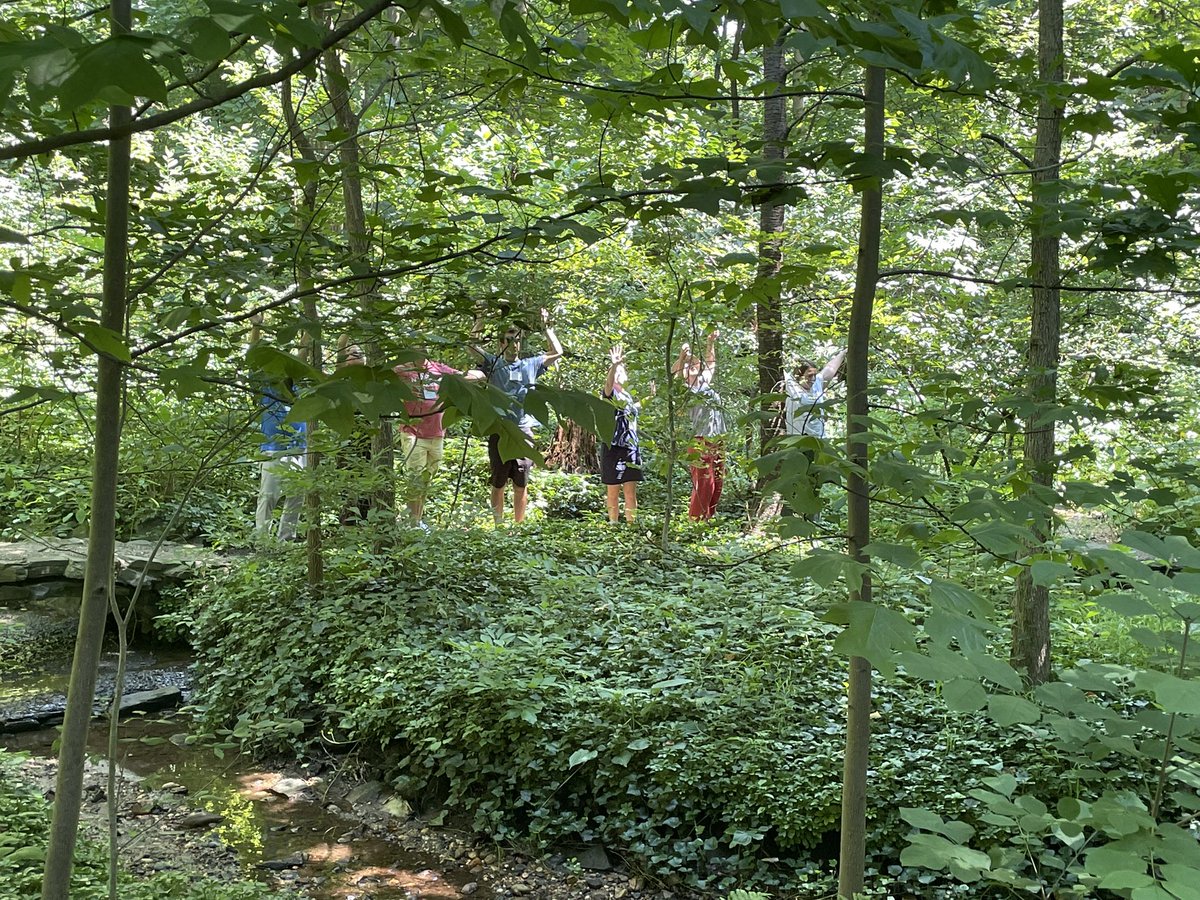 It wasn’t just the trees moving in the wind today,there were actual *Wissiters (term created by <a href="/georgina_in_dc/">Georgina Ardalan🐘</a> ) moving collaboratively in their thinking! Led by Ingrid Zimmer in the #MoveThinkWonder…in #nature session! #wissit22 <a href="/WISSIT_DC/">WISSIT ☮️</a> P.S. Jeremiah the bullfrog had fun!!