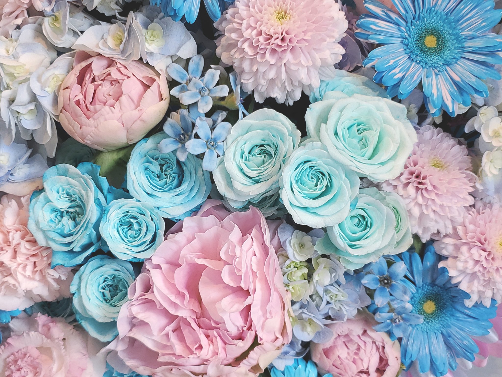 تويتر 秋葉原のお花屋さん 花文 Hanabun على تويتر 空色 淡いピンクで特大のアレンジメントです 毎年ご注文いただきまして誠にありがとうございます 今年は綺麗な空色にしてみました 花文アレンジメント バクステ 花 秋葉原 プレゼント 生誕祭