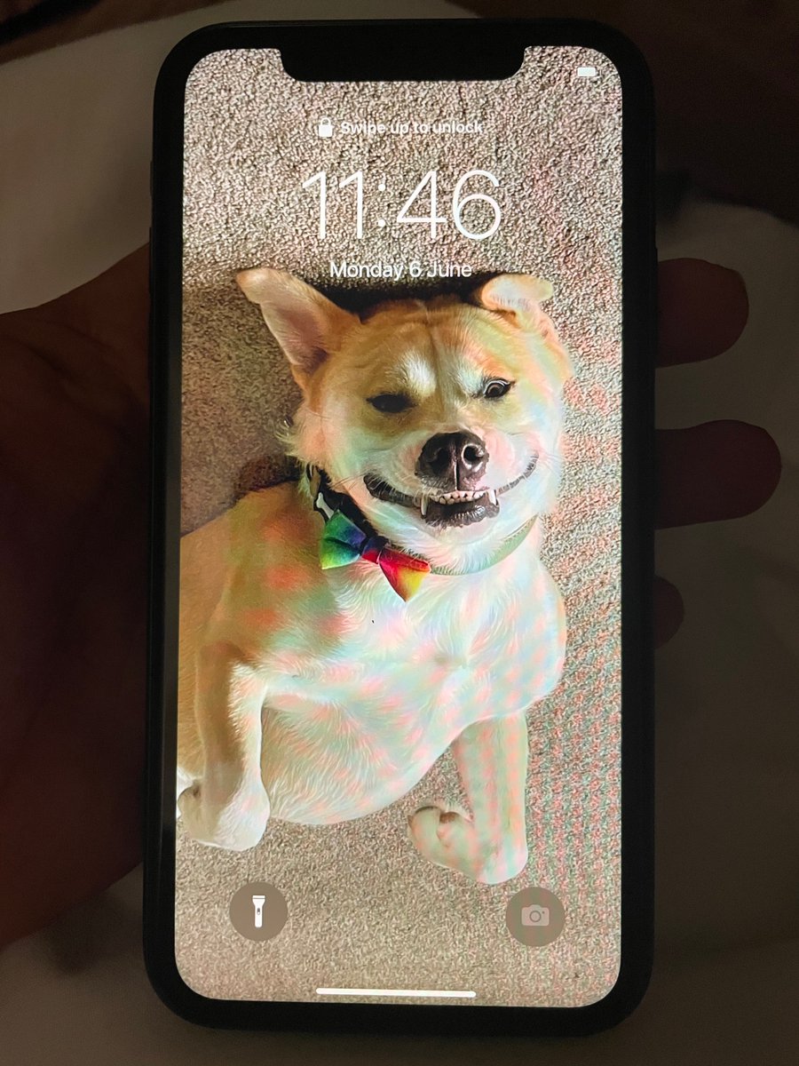 Technollama1970's tweet photo. #Iphone 11 found in #London in a club in Southbank during Jubilee. #Iphonelost. SIM card had been removed. The screen still displays the owner’s dog. Please UK friends retweet 🙏 https://t.co/mXUJGUn1Ys