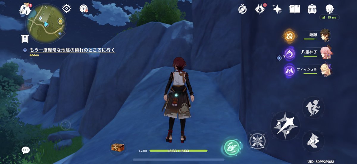 あれ？こんな坂の石あったっけ？