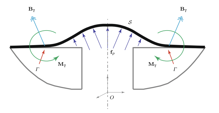 UCBDynamicsLab's tweet photo. Our latest work on material/configurational/Eshelbian forces in shells and plates has just appeared

Goldberg &amp; O'Reilly "A material momentum balance law for shells and plates with application to phase transformations and adhesion"

 https://t.co/ZFxR94AJUg https://t.co/x5QO4VYwmN