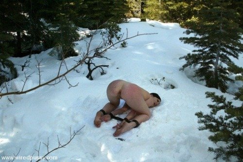 BDSM_Fantasy6's tweet photo. In the snow https://t.co/ollq43WUx2