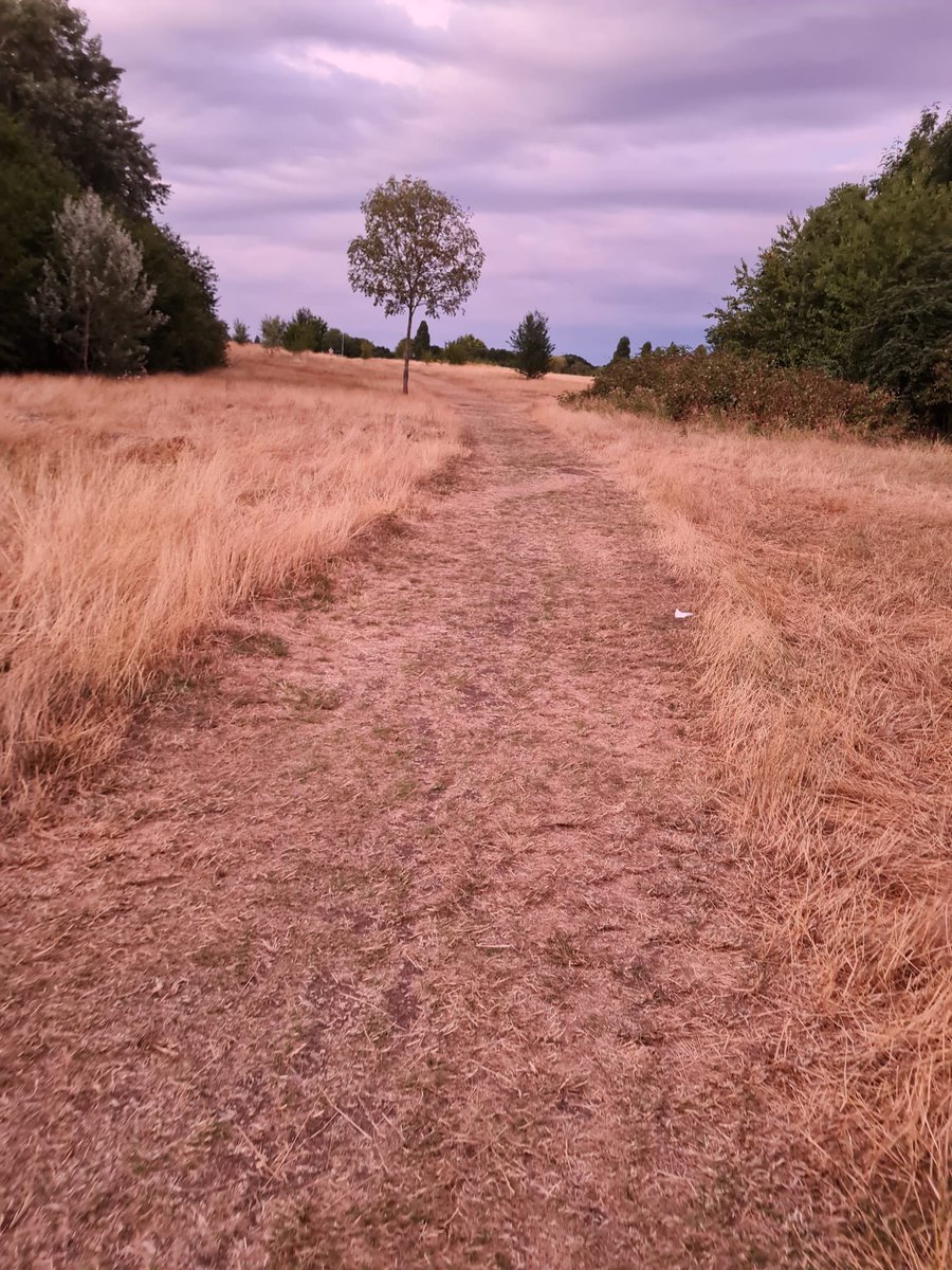 AntonyKeen117's tweet photo. #Day4 #WeActiveChallenge2022 #ImperialActive #LongWalkHome #ChangingRoutes #MoreSteps #NursesActive #ManagersActive @SajilaSagila @MarcelleTauber #WormwoodScrubsPark https://t.co/06q1j4Xnc9