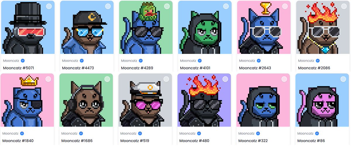 SolidHandle's tweet image. I just swept the Mooncatz floor with @gemxyz 💎🧹

12 kitties rescued &amp;lt;3 #NFT #NFTCollection #meow #CatsOfTwitter #thetakeover @mooncatz