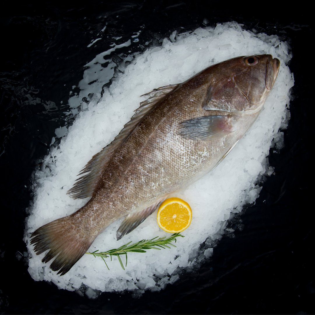 To consume quality seafood products of great freshness, it is essential to buy them during their peak season!

In summer, it is therefore recommended to eat fish like these: anchovies, cod, mackerel, hake, red mullet, st. Pierre, sardines or tuna in order to get the best taste!