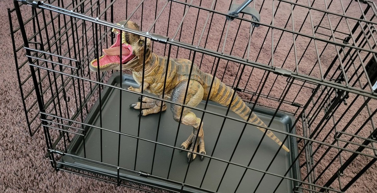 OPTICS's tweet image. I swear, this was not planned. Just so happen to have gotten the the T-Rex and pet cage delivered today by Amazon.
@Mattel #jurassicpark