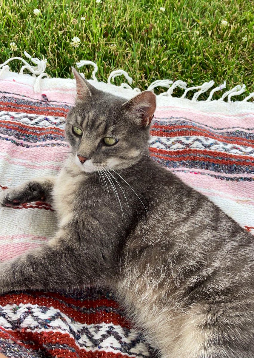 Me and the cat I promised myself I wouldn’t get attached to…