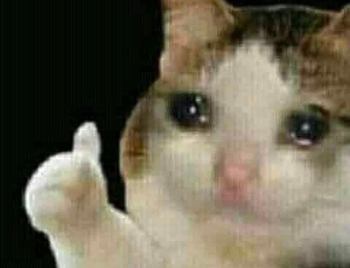 Neopublicistas's tweet photo. Cuando me aprueban la idea después de 228382991 intentos. https://t.co/wTgNeqWBGr