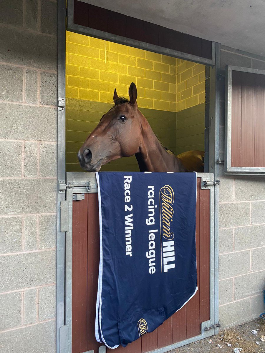 Yaaser ridden by Jimmy Sullivan won his 4th race of the year @DoncasterRaces and it was our 40th flat winner of 2022! Our 41st came @ayrracecourse courtesy of Shophiesticate who shared the last in a dead heat well ridden by @PMulrennan !