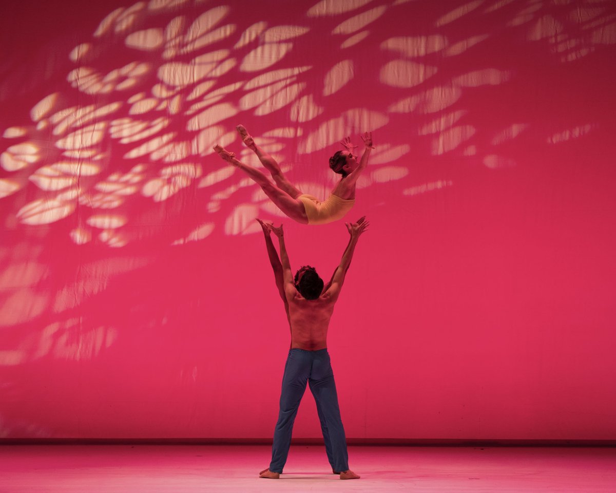 Pittsburgh Ballet tweet media