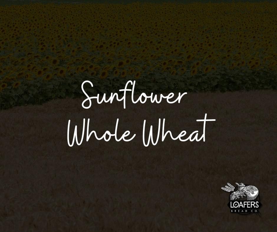 LoafersBread's tweet photo. Sunflower Whole Wheat and Hot across Buns tomorrow!! Come and get ‘em 🤎 https://t.co/AYg4eBGMj0