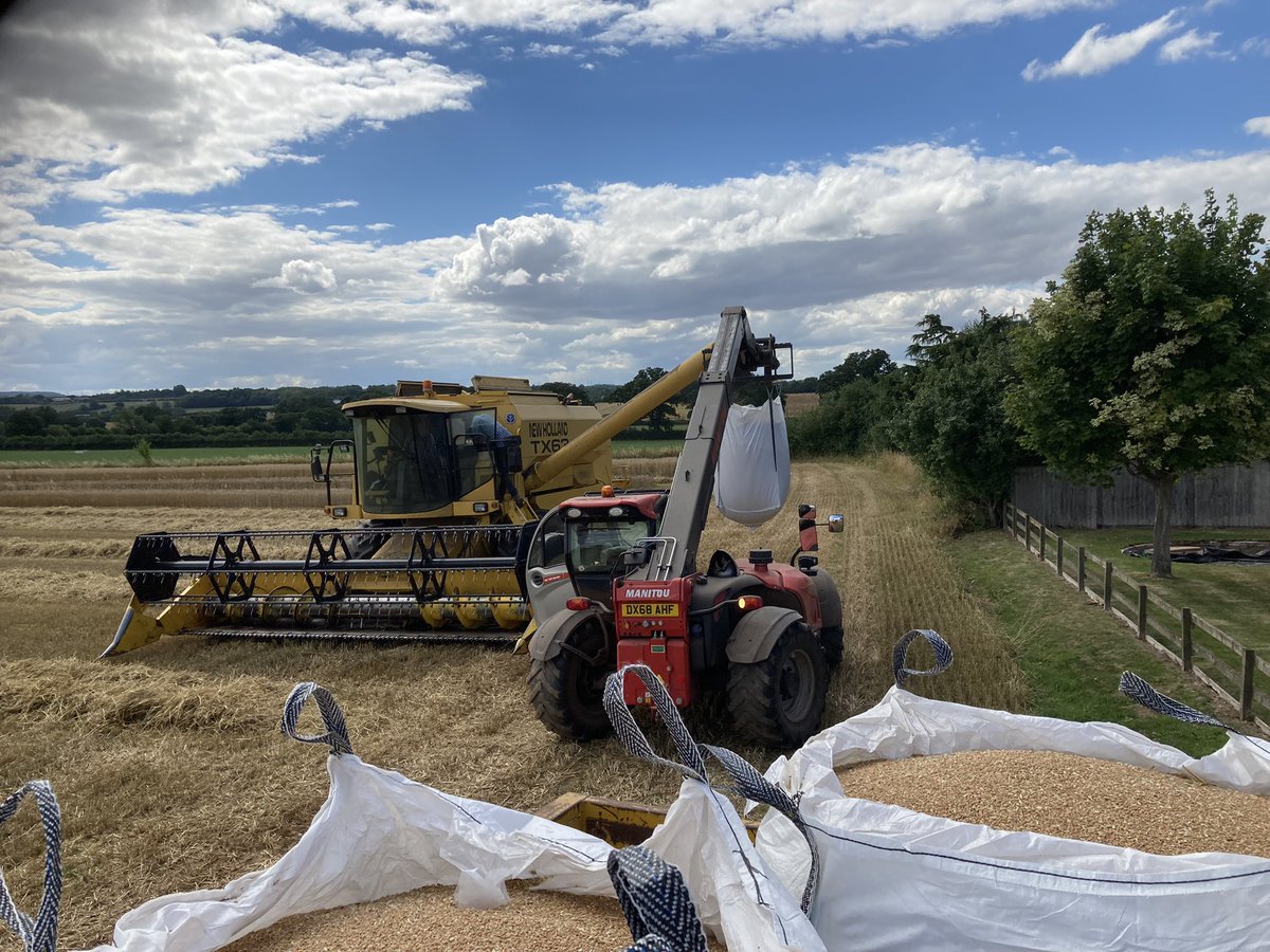 GreenAcres_Farm's tweet photo. A day of cutting strips in our own and the @OrgResCent #livewheat trials @organicarable - 9 crops in one field, bagged straight from the combine. https://t.co/2Wv4Jk9FUz