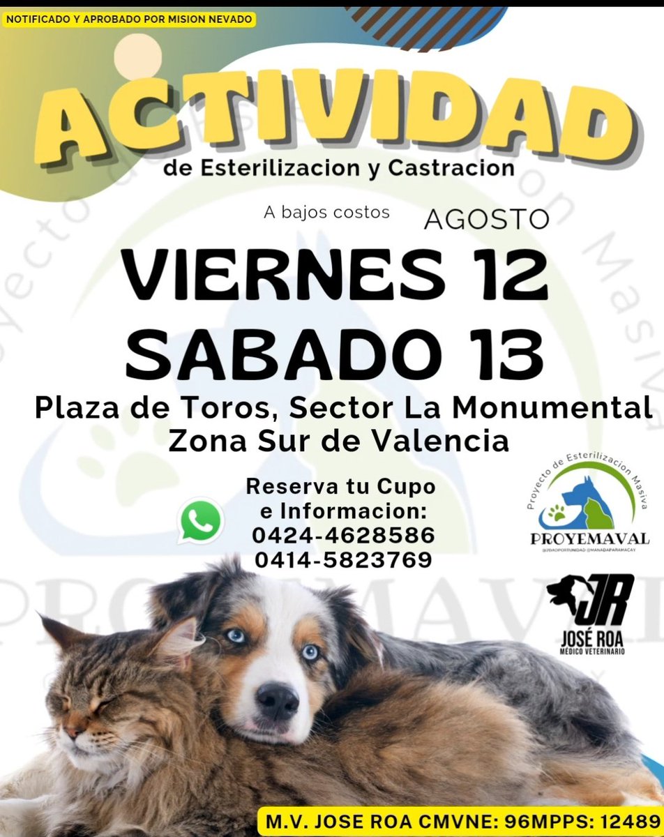 #esterilizar es la mejor manera de ayudar a una gata o perra en situación de calle. 😔. Que no sigan pariendo. Para que no estén botando en las basuras a los bebés 💔. Ayúdame a #difundir  #Valencia #Carabobo #perros #gatos