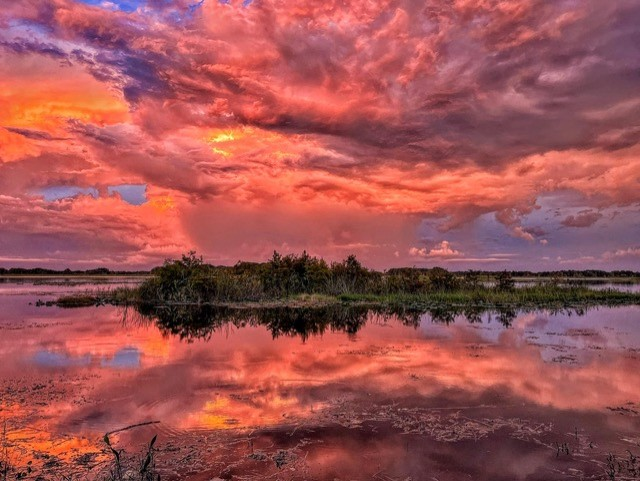 Patriot s    We  All    Need   A  Break  Away   From  The   UGLY  .......   How  About   This ?    DROP  DEAD   BEAUTIFUL