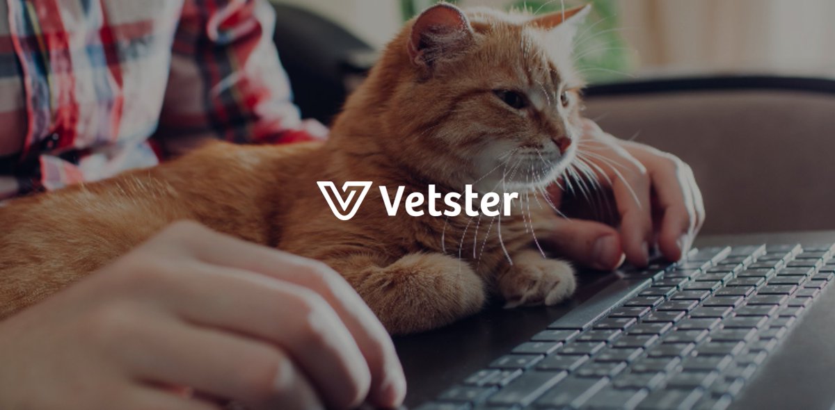 bdgconsultants's tweet photo. Discover how we've helped @Vetster becoming the leader in telehealth for pets and securing series A and B funding. Read our case study here 👉 https://t.co/GWOePktZp1 https://t.co/JzbjVZQ8f6