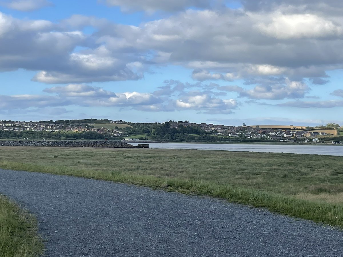 DeniseLowry17's tweet photo. Day 4 of #AHPsActive and Tilly the Bassett remains unimpressed! Walking by the beautiful Strangford Lough #NIAHPsActive #WeActiveChallenge #paedphysio https://t.co/ClruT7oO1R