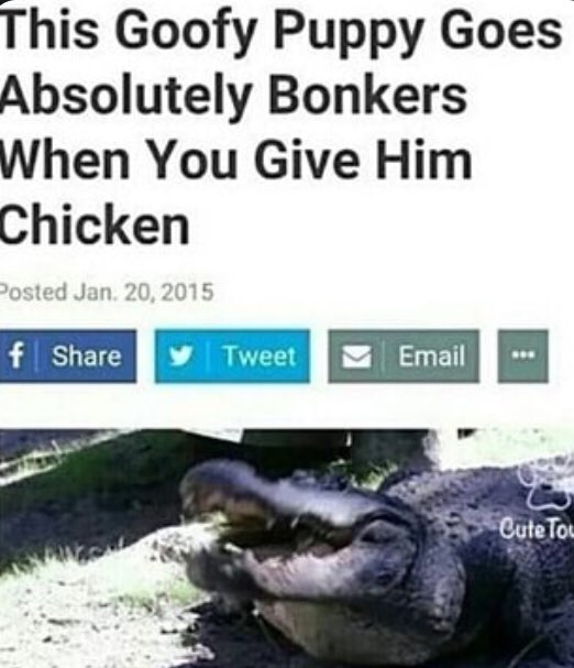 GatorsDaily's tweet photo. https://t.co/VXatCyauju