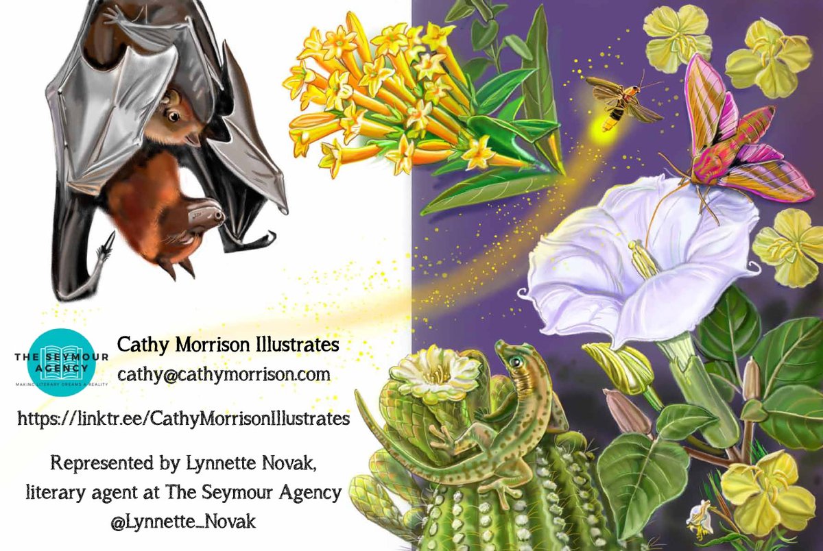 Cathy Morrison tweet media