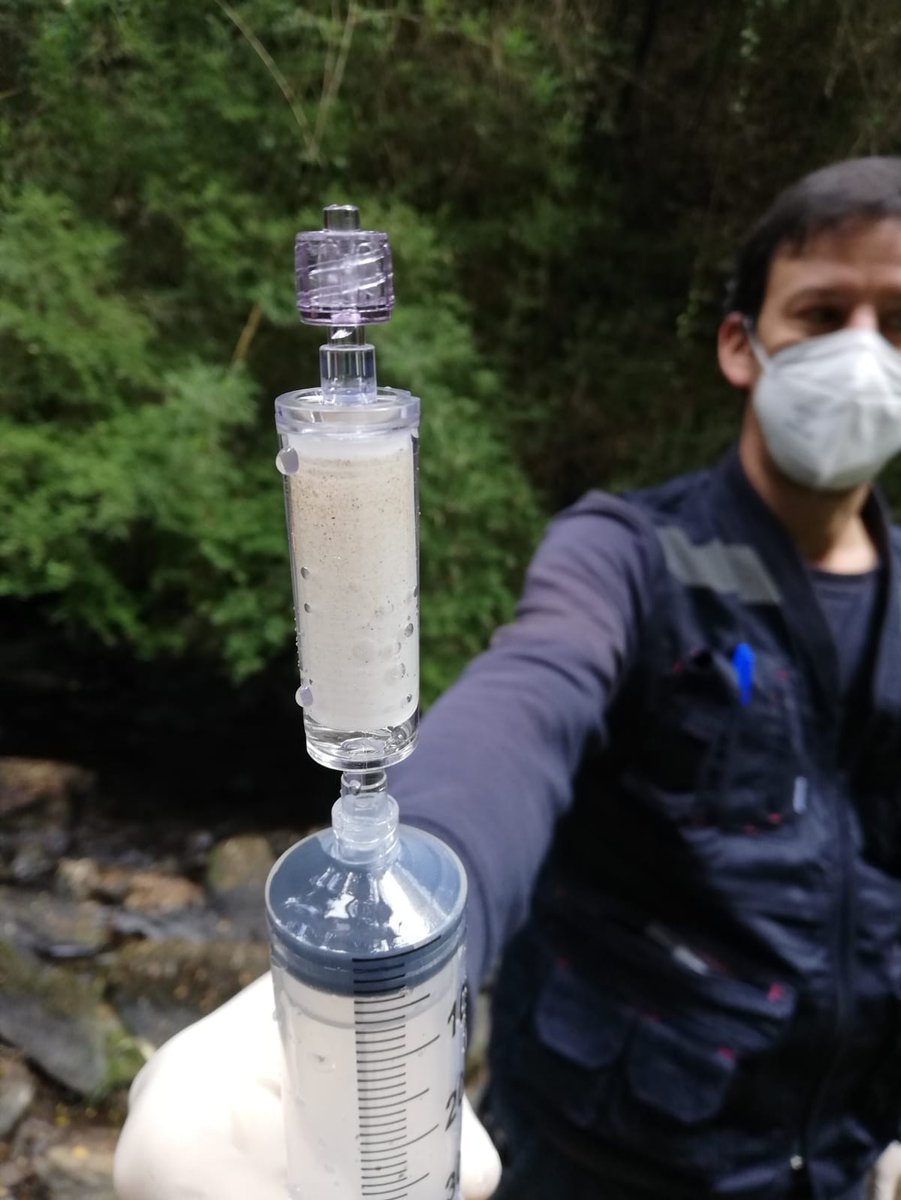 conaf_minagri's tweet photo. El monitoreo genético o ADN ambiental aplicado por primera vez en un área protegida del Estado, específicamente en el Parque Nacional Nonguén,  permitió detectar una especie que no estaba descrita en esta unidad. #CONAFBiobío + #ecogen 🧬🦫

Leer más: https://t.co/fvJkzdl3jC https://t.co/a9PICFMLW8